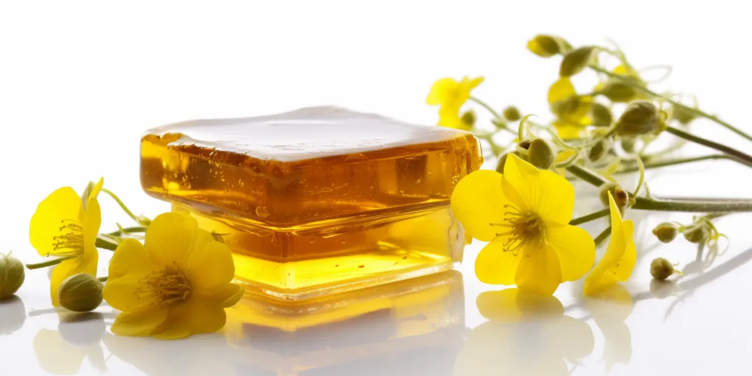 Miód lipowy gdzie kupić?