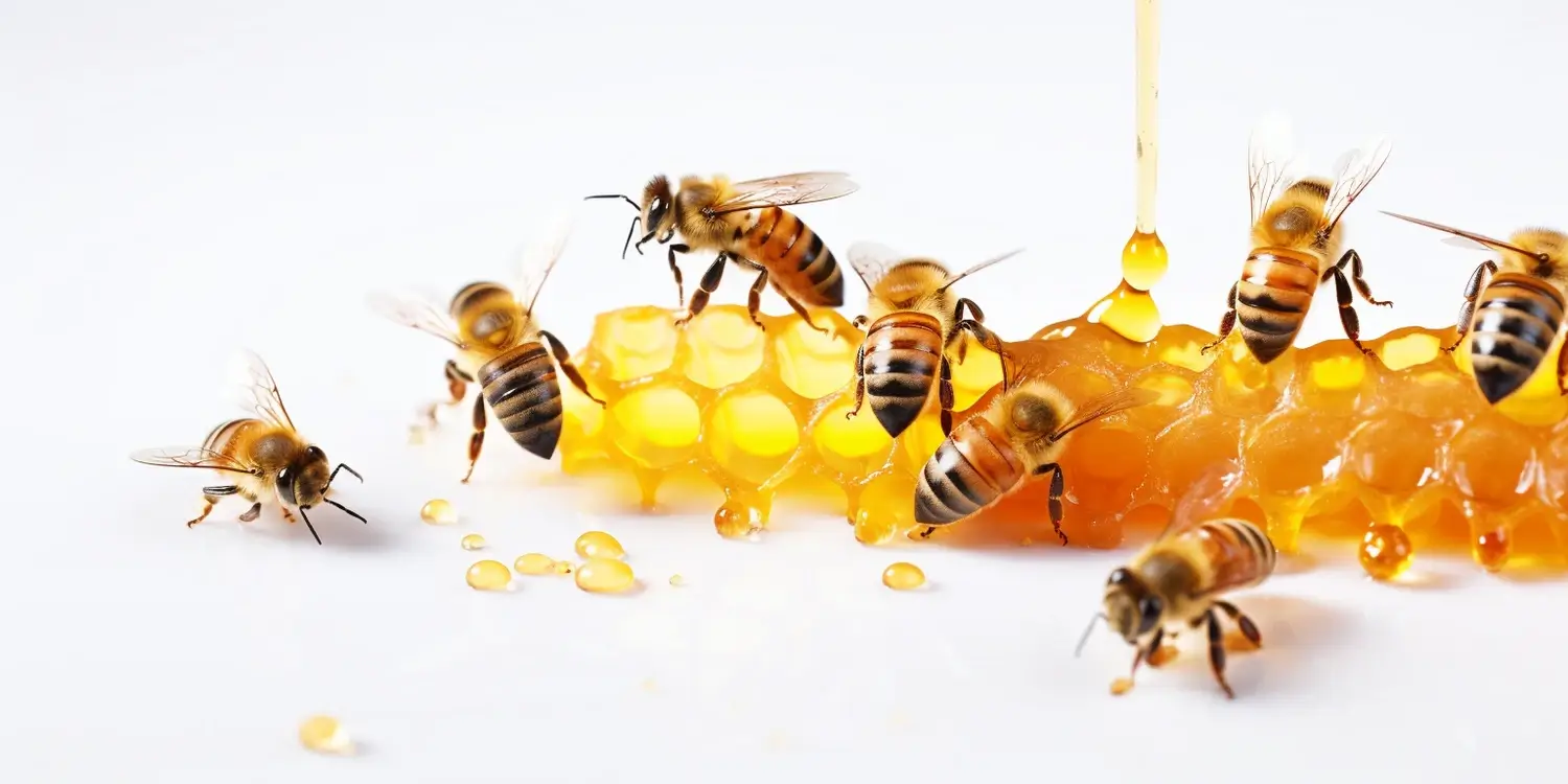 Kiedy jeść miód akacjowy