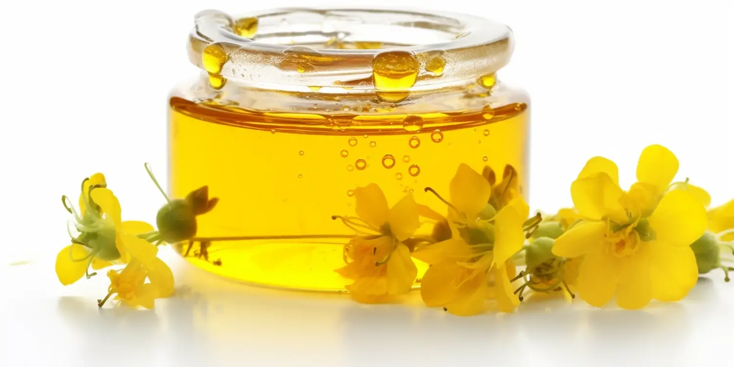 Kiedy podbierać miód rzepakowy?