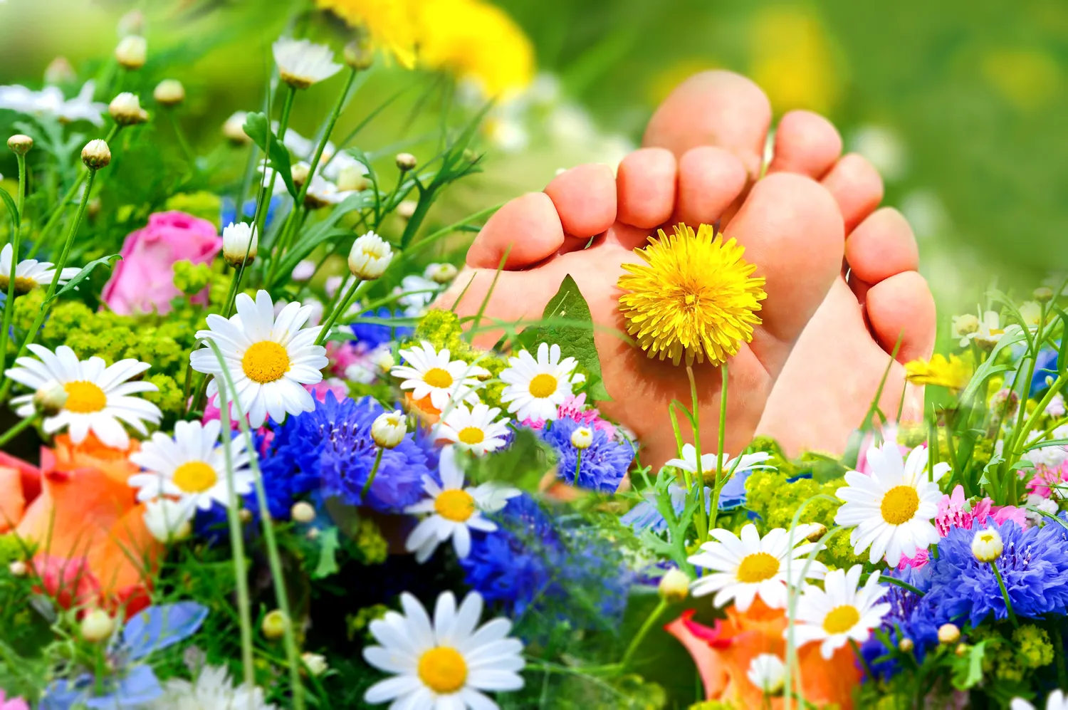 Dobry podolog a zdrowie i komfort stóp